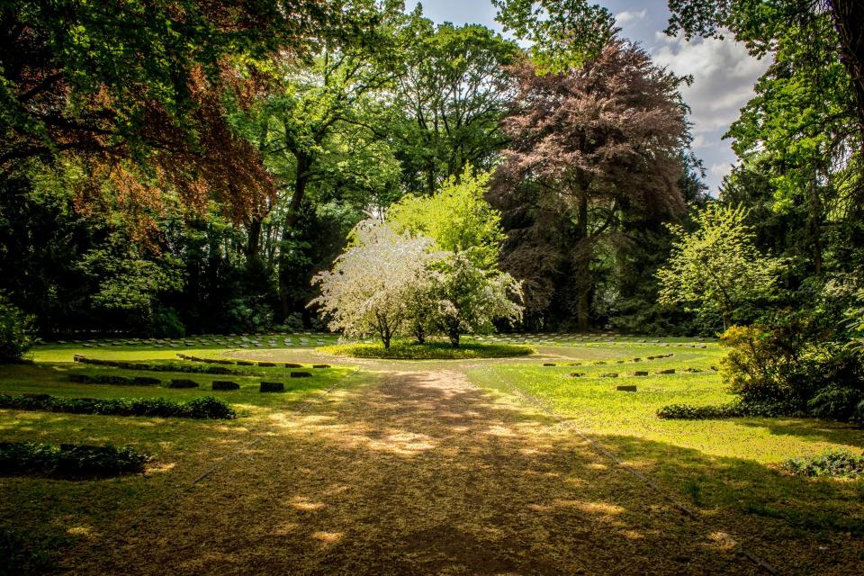 Hermoso jardín con exuberante vegetación y árboles florecientes bajo un cielo soleado.